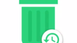 WhatsRemoved+