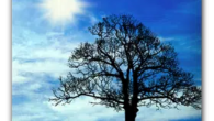 Blue Sky Free Live Wallpaper