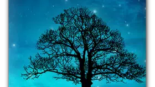 Dream Night Free LiveWallpaper