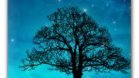 Dream Night Free LiveWallpaper