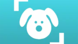 Dog Scanner: Breed Recognition